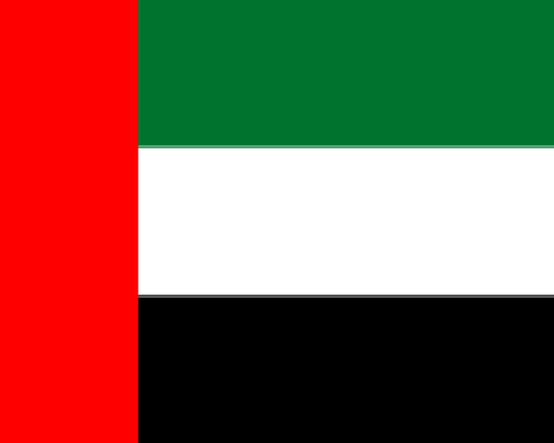 U.A.E flag